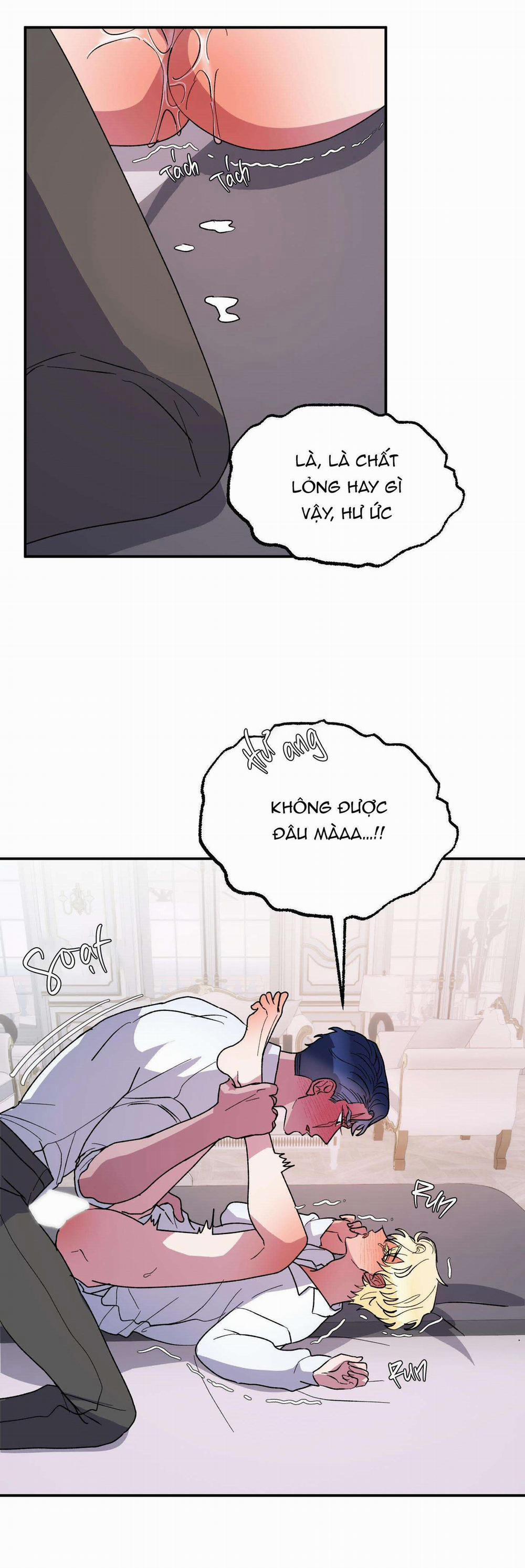 CÁ MẬP VÀ CÔ DÂU THỎ 24 END SS1 trang 17