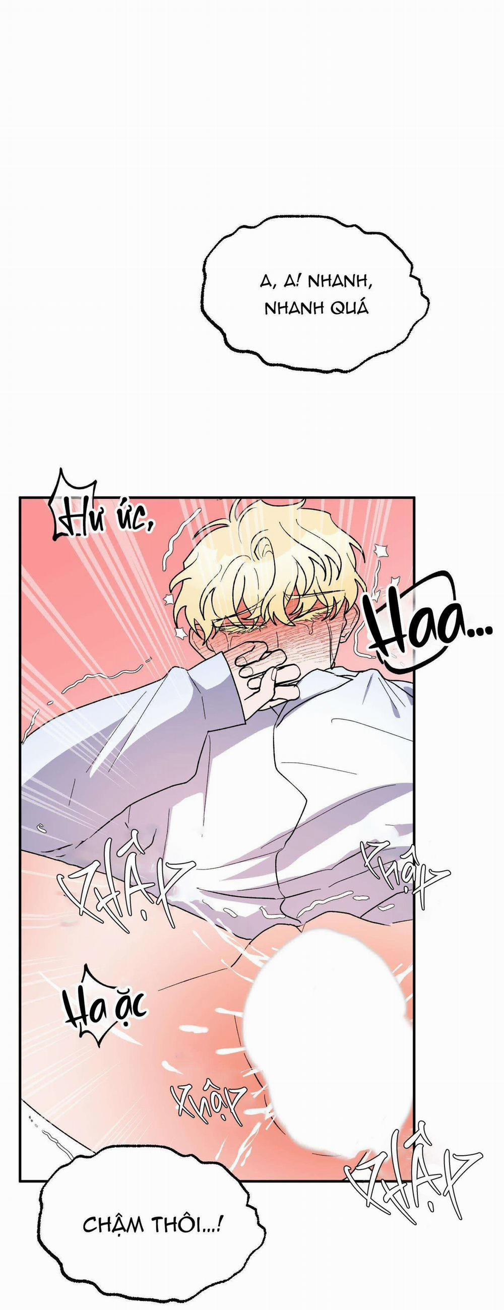 CÁ MẬP VÀ CÔ DÂU THỎ 24 END SS1 trang 29