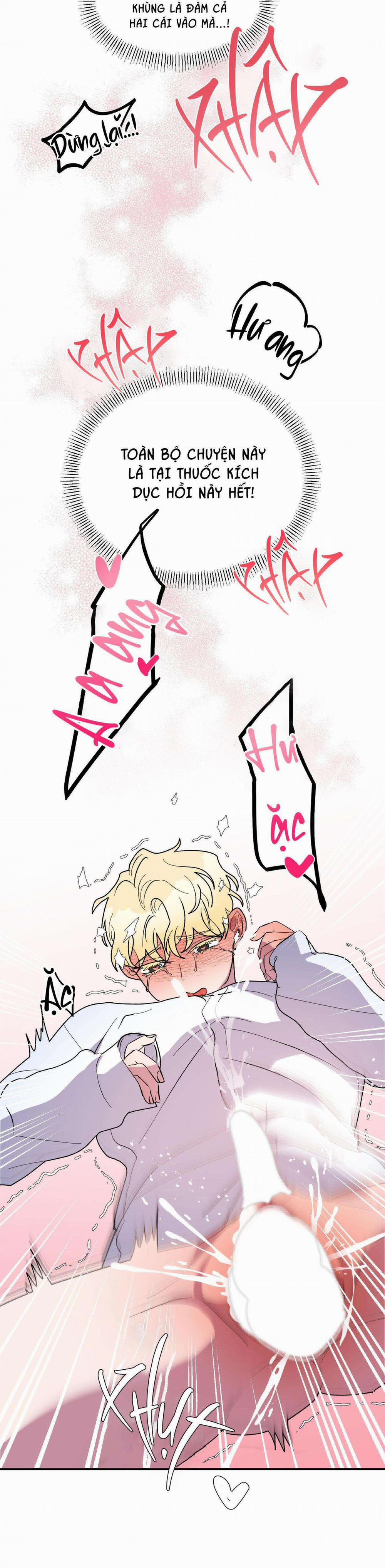 CÁ MẬP VÀ CÔ DÂU THỎ 24 END SS1 trang 41