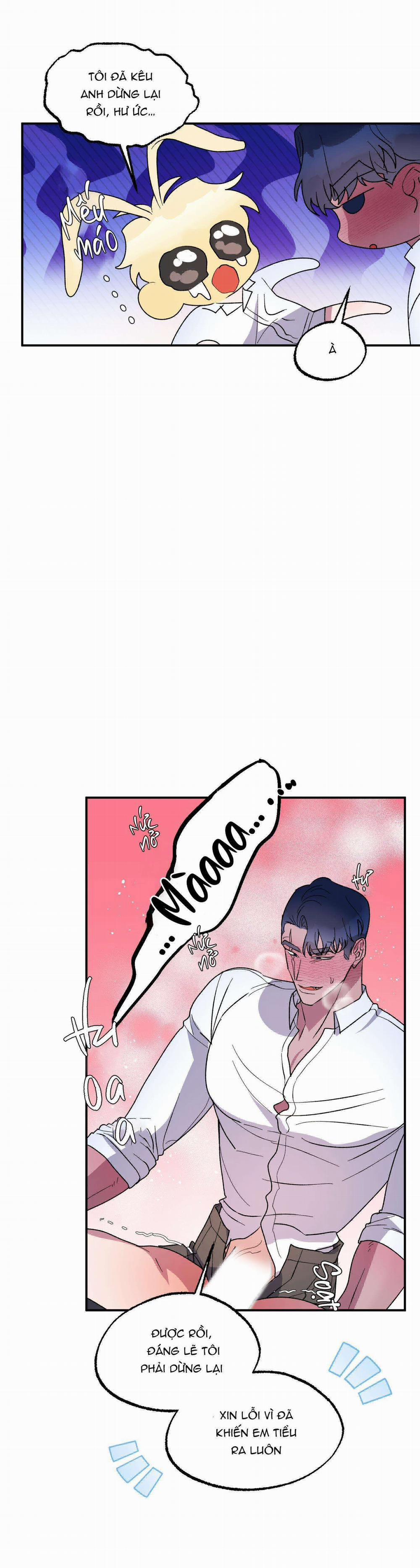 CÁ MẬP VÀ CÔ DÂU THỎ 24 END SS1 trang 48