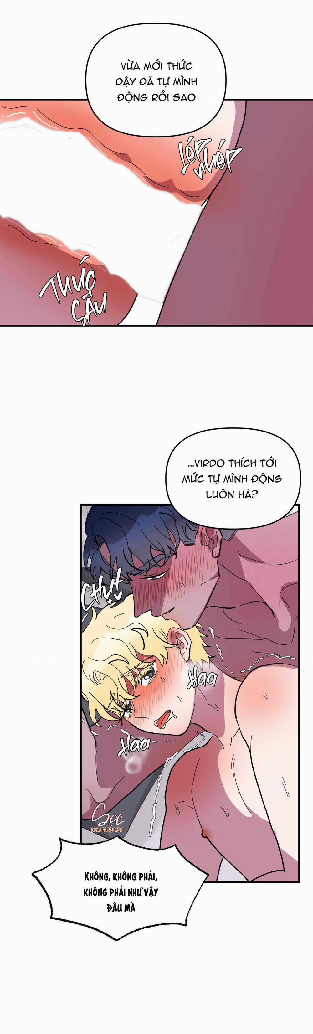 CÁ MẬP VÀ CÔ DÂU THỎ 25 trang 11