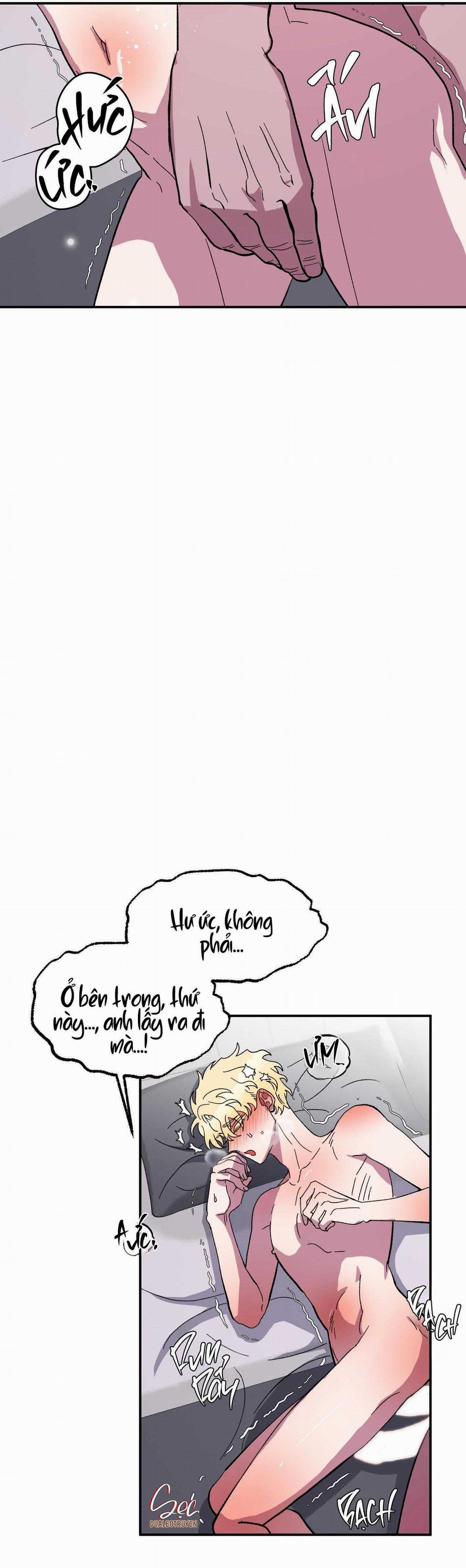 CÁ MẬP VÀ CÔ DÂU THỎ 25 trang 15