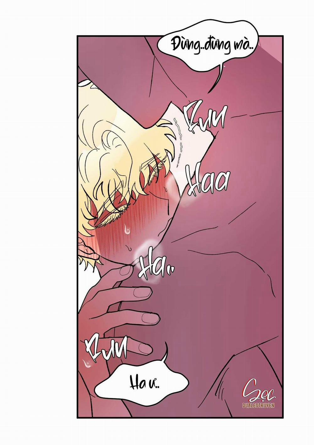 CÁ MẬP VÀ CÔ DÂU THỎ 25 trang 22