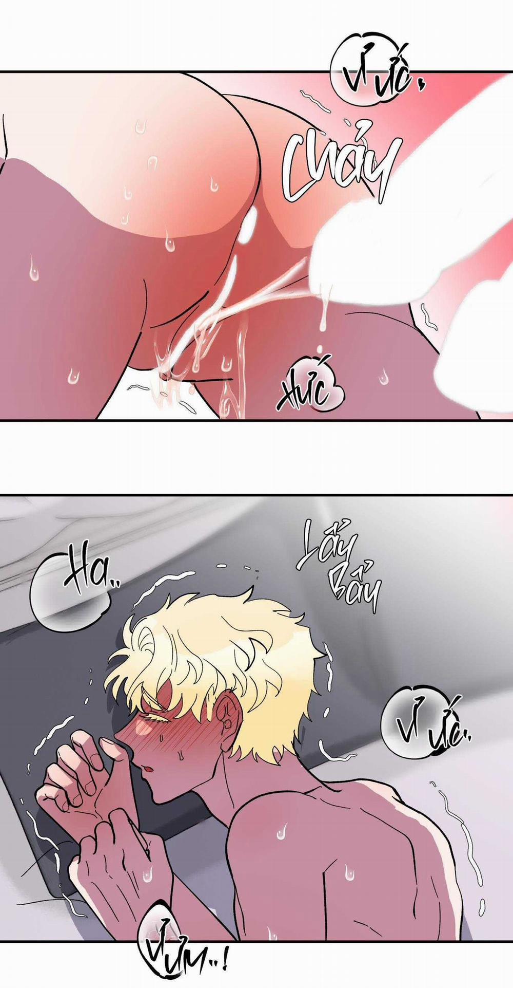 CÁ MẬP VÀ CÔ DÂU THỎ 25 trang 26