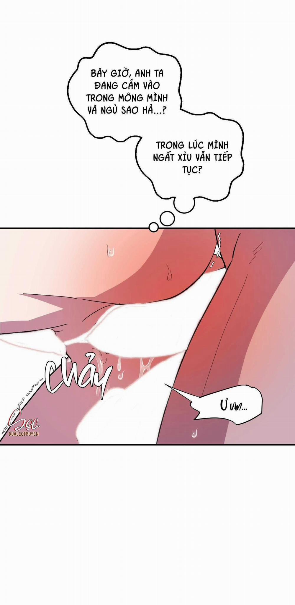 CÁ MẬP VÀ CÔ DÂU THỎ 25 trang 5