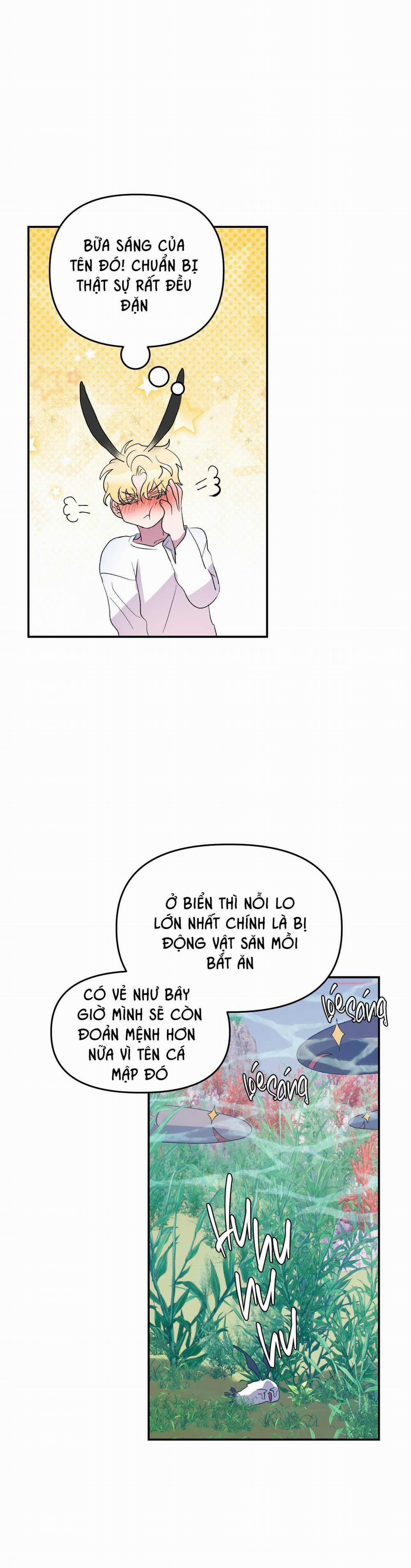CÁ MẬP VÀ CÔ DÂU THỎ 26 trang 10