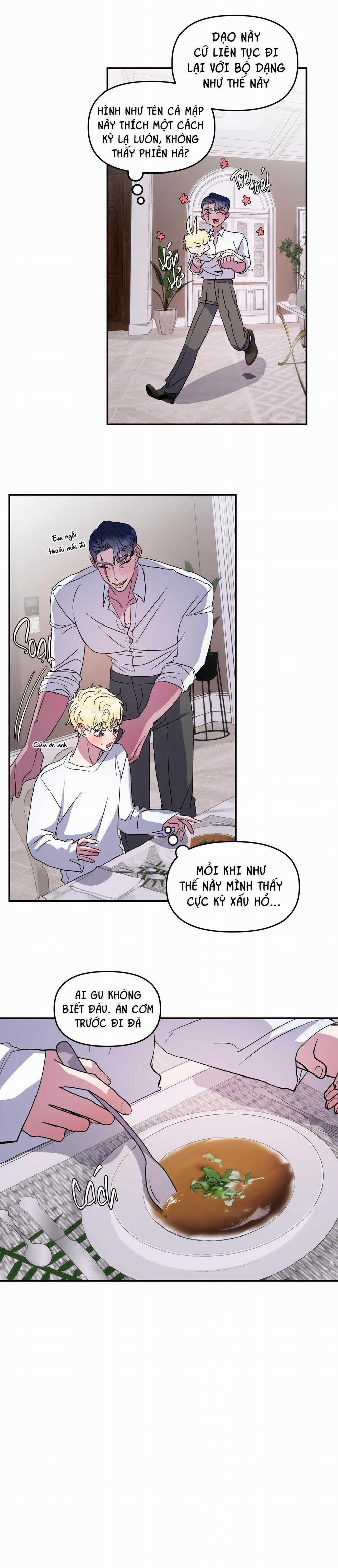 CÁ MẬP VÀ CÔ DÂU THỎ 26 trang 15
