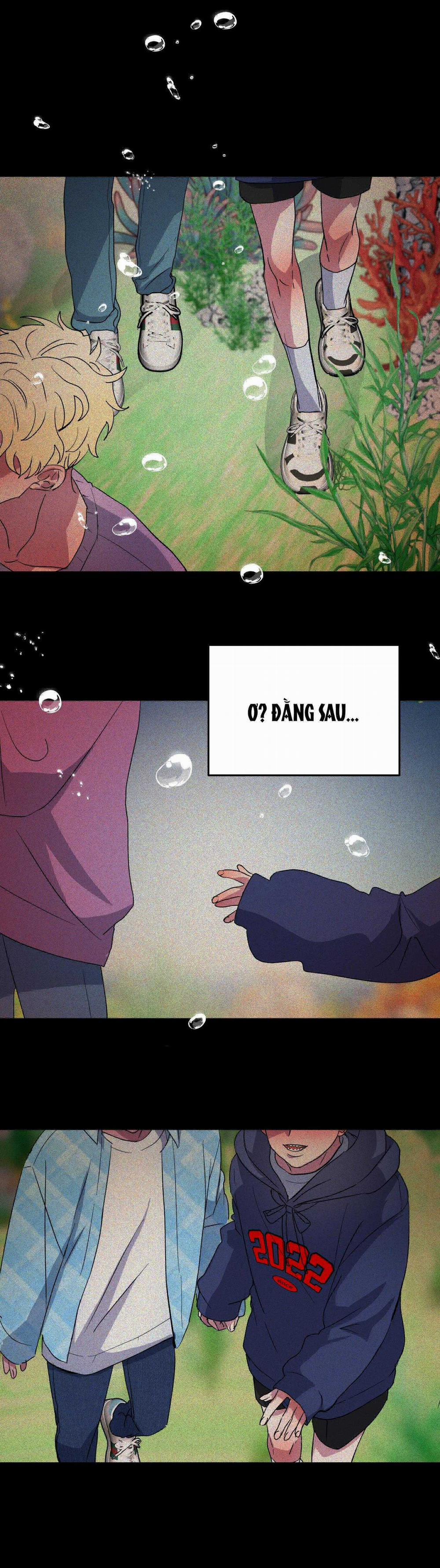 CÁ MẬP VÀ CÔ DÂU THỎ 26 trang 2