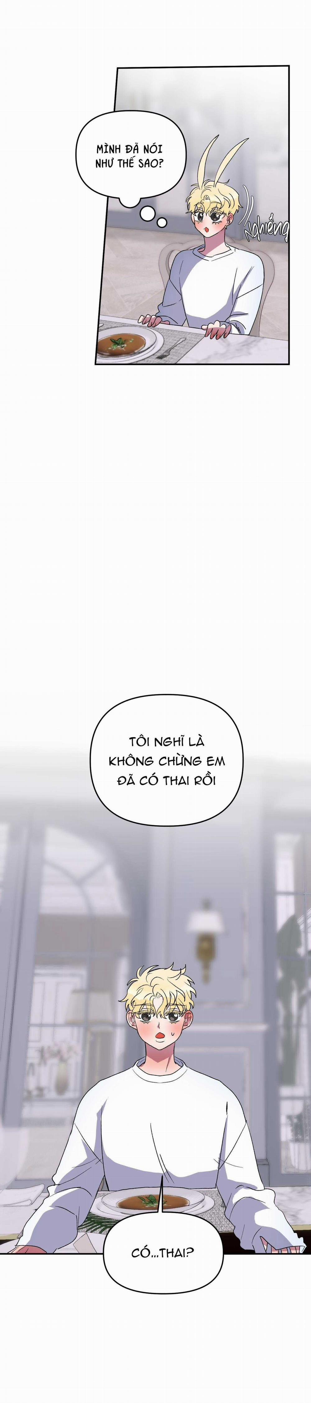 CÁ MẬP VÀ CÔ DÂU THỎ 26 trang 21