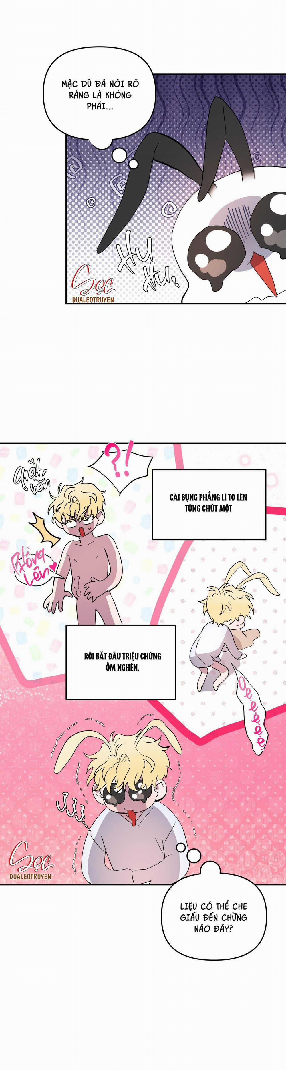 CÁ MẬP VÀ CÔ DÂU THỎ 27 trang 26