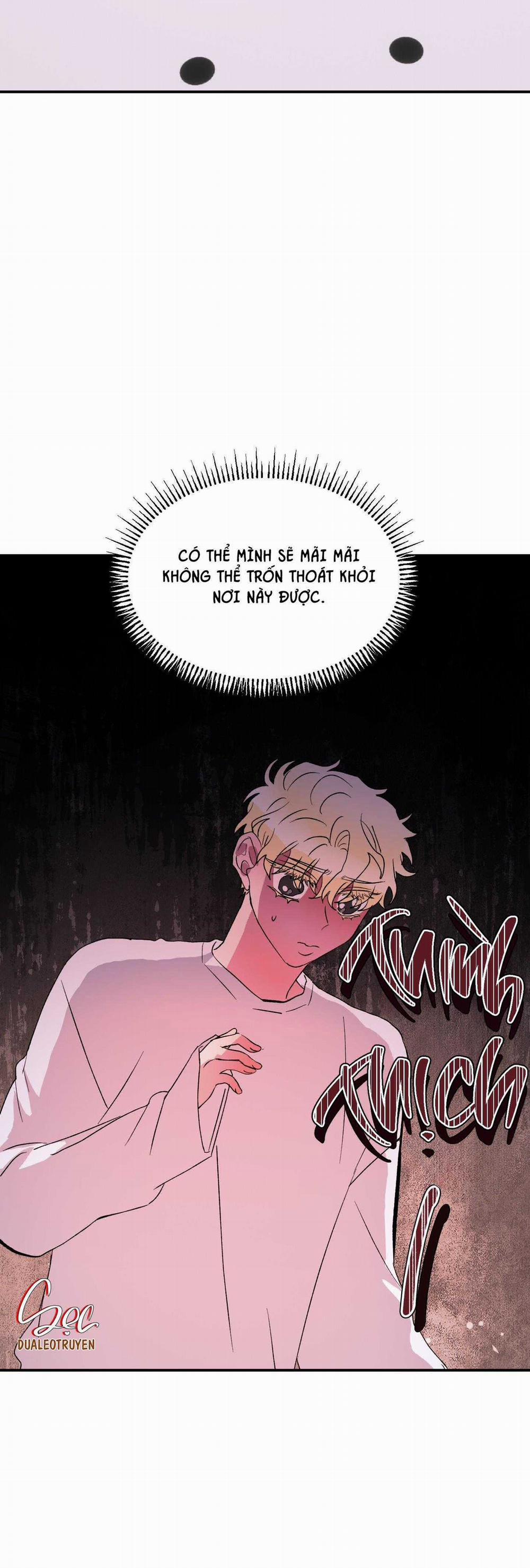 CÁ MẬP VÀ CÔ DÂU THỎ 27 trang 32