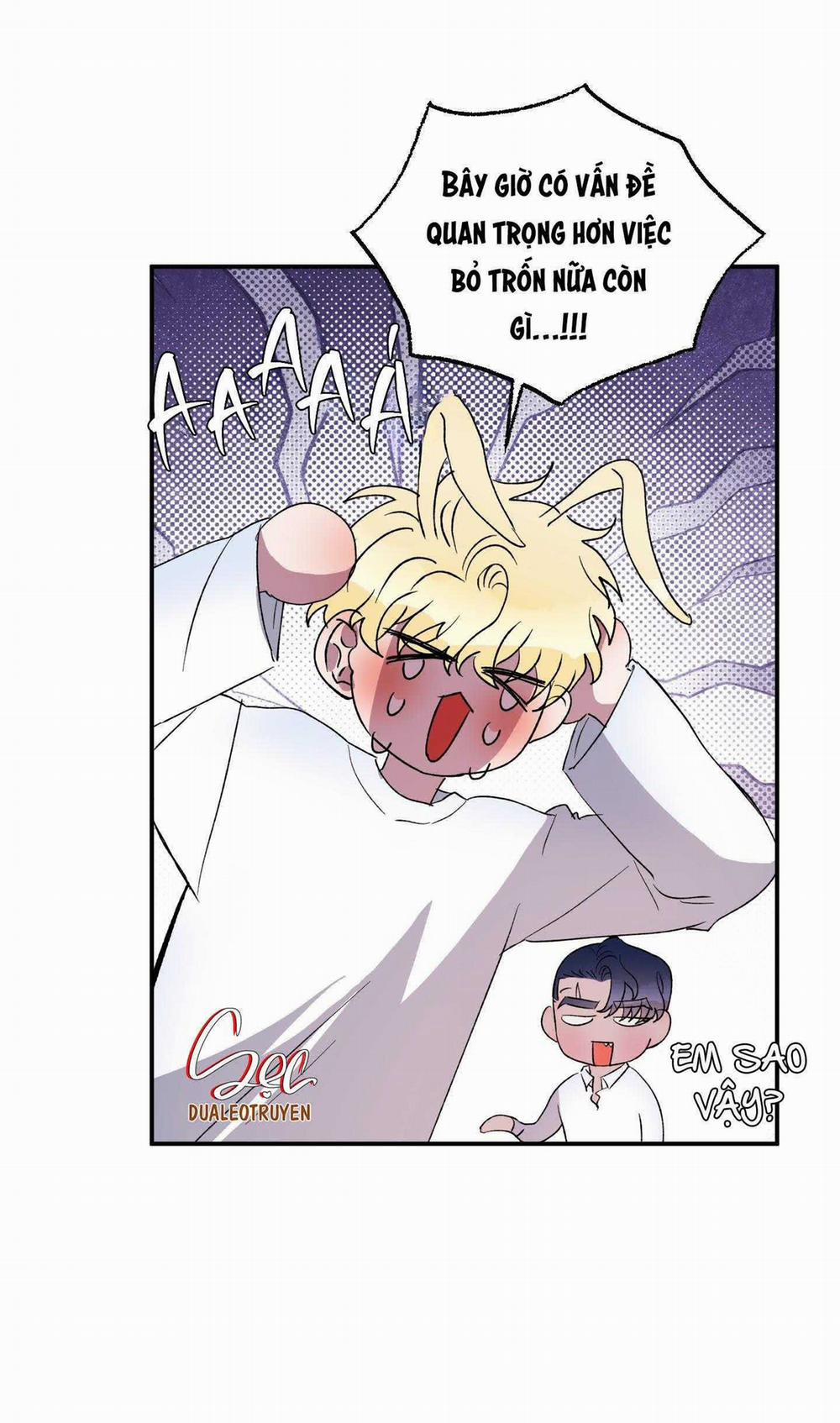 CÁ MẬP VÀ CÔ DÂU THỎ 27 trang 6