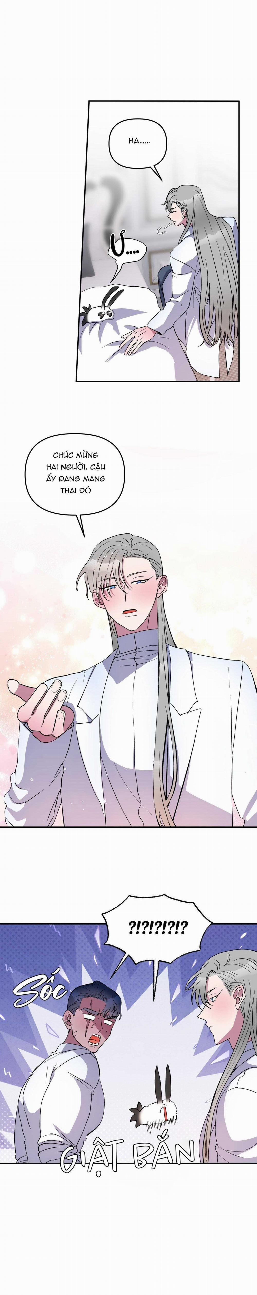 CÁ MẬP VÀ CÔ DÂU THỎ 28 trang 1