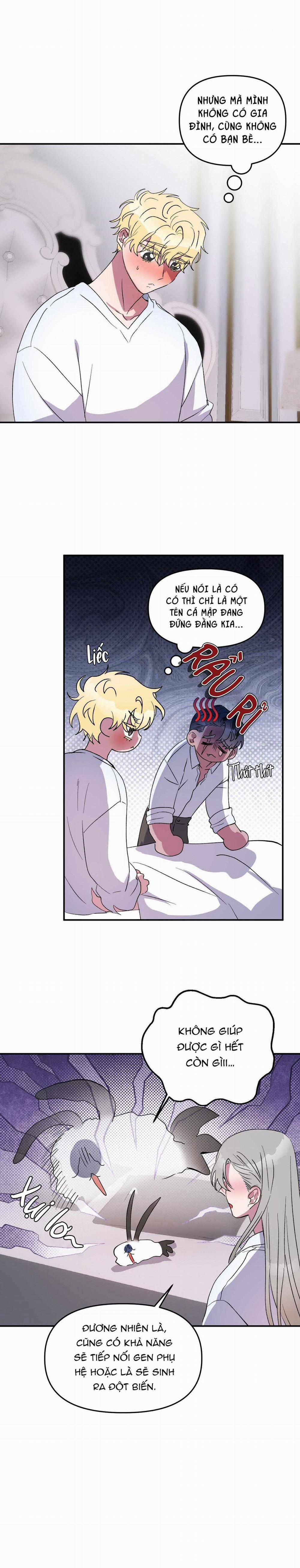 CÁ MẬP VÀ CÔ DÂU THỎ 28 trang 13
