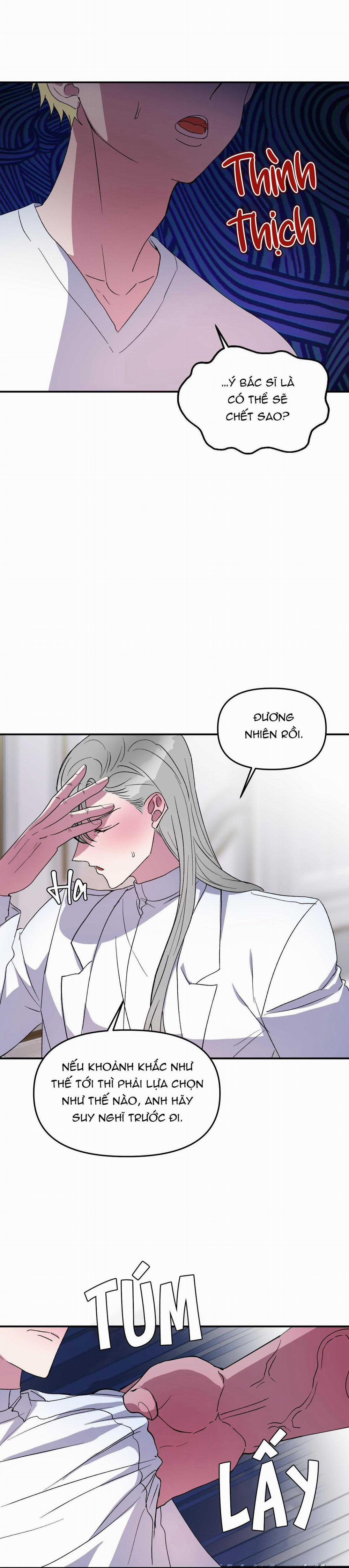 CÁ MẬP VÀ CÔ DÂU THỎ 28 trang 15