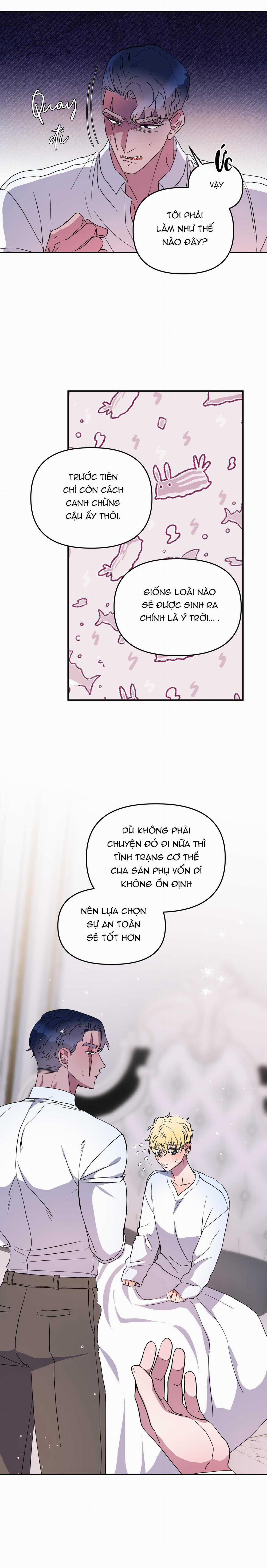 CÁ MẬP VÀ CÔ DÂU THỎ 28 trang 19