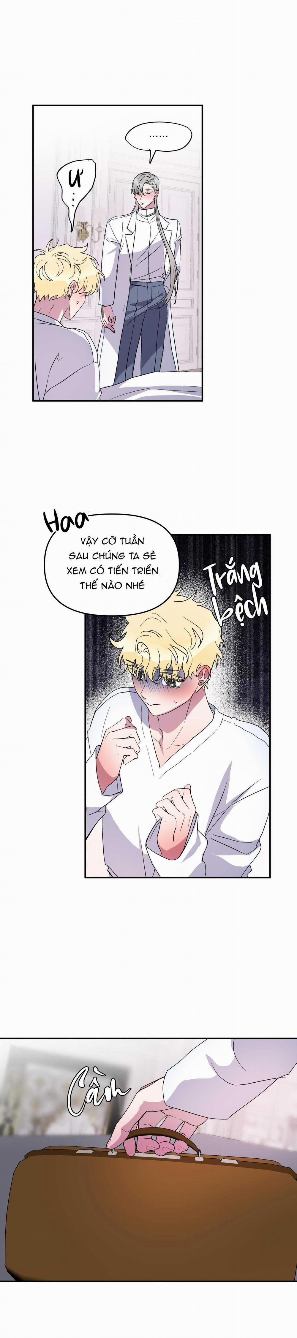 CÁ MẬP VÀ CÔ DÂU THỎ 28 trang 20