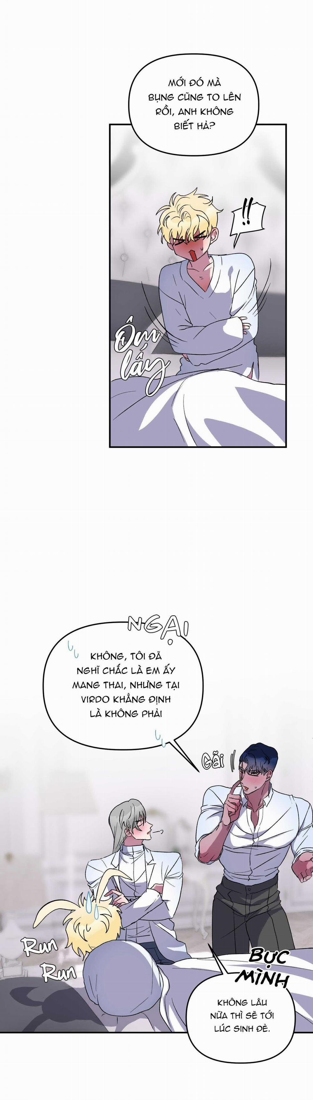 CÁ MẬP VÀ CÔ DÂU THỎ 28 trang 3