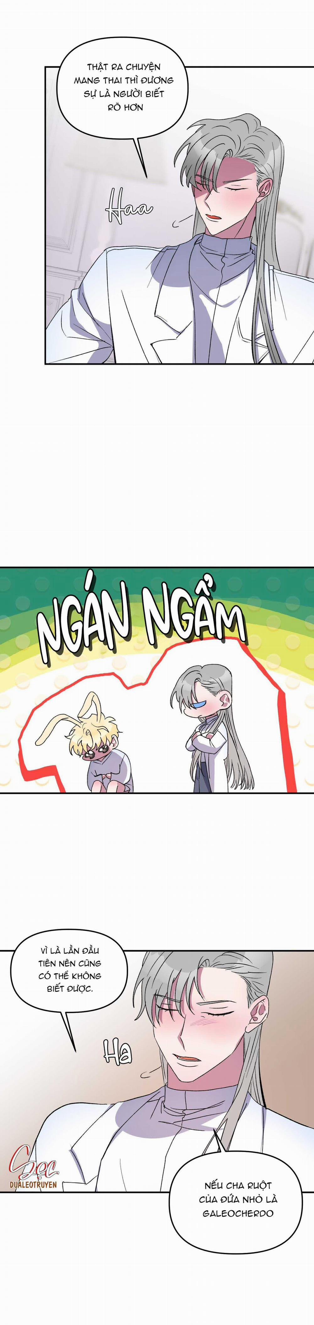 CÁ MẬP VÀ CÔ DÂU THỎ 28 trang 4