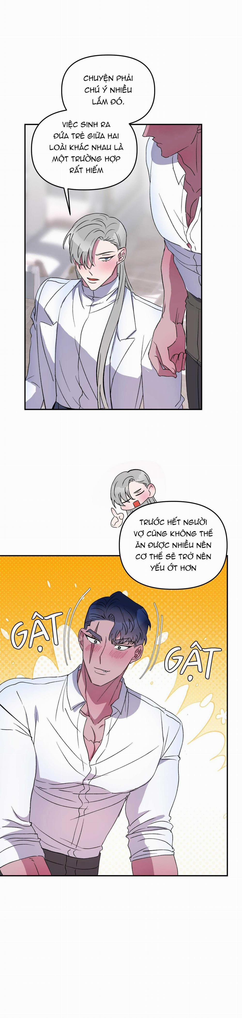 CÁ MẬP VÀ CÔ DÂU THỎ 28 trang 5