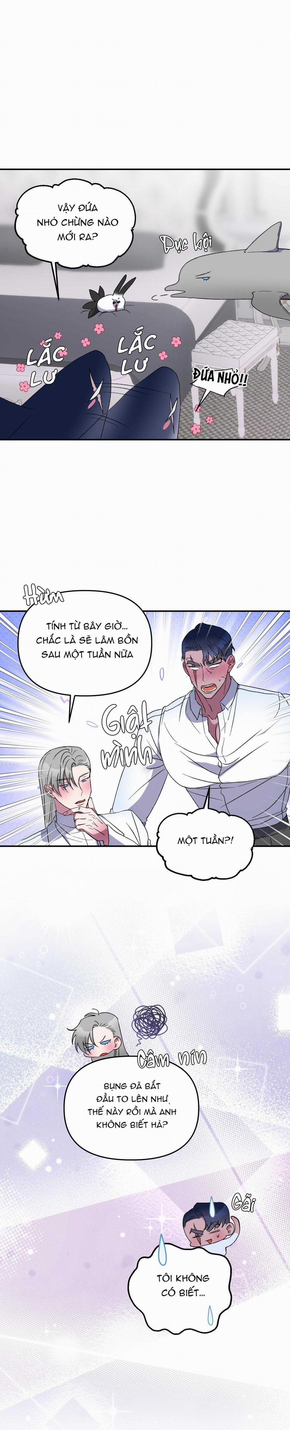 CÁ MẬP VÀ CÔ DÂU THỎ 28 trang 6