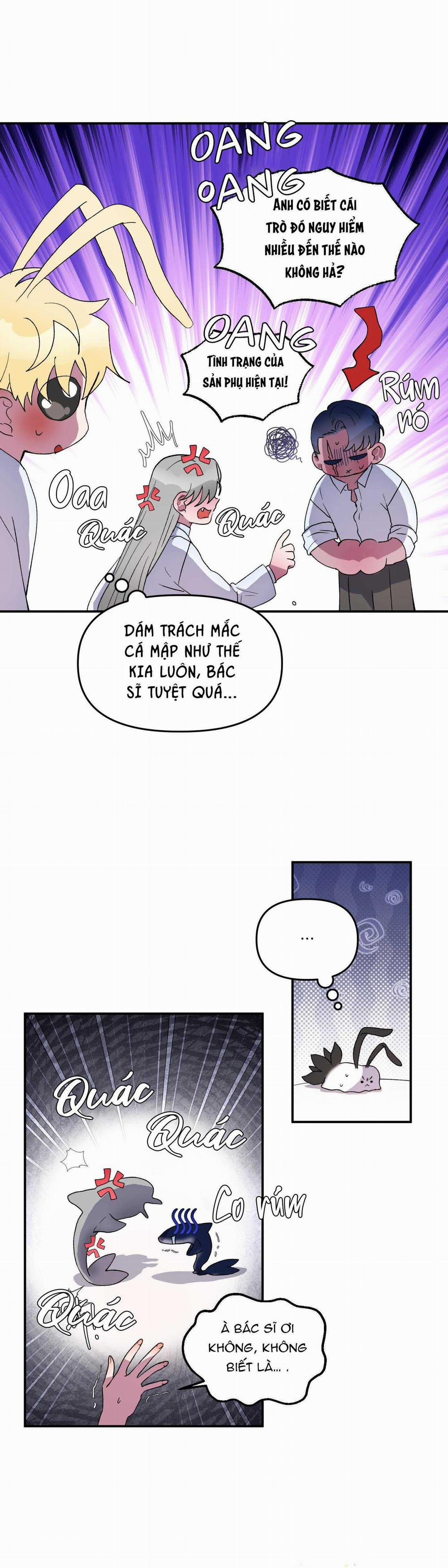 CÁ MẬP VÀ CÔ DÂU THỎ 28 trang 8