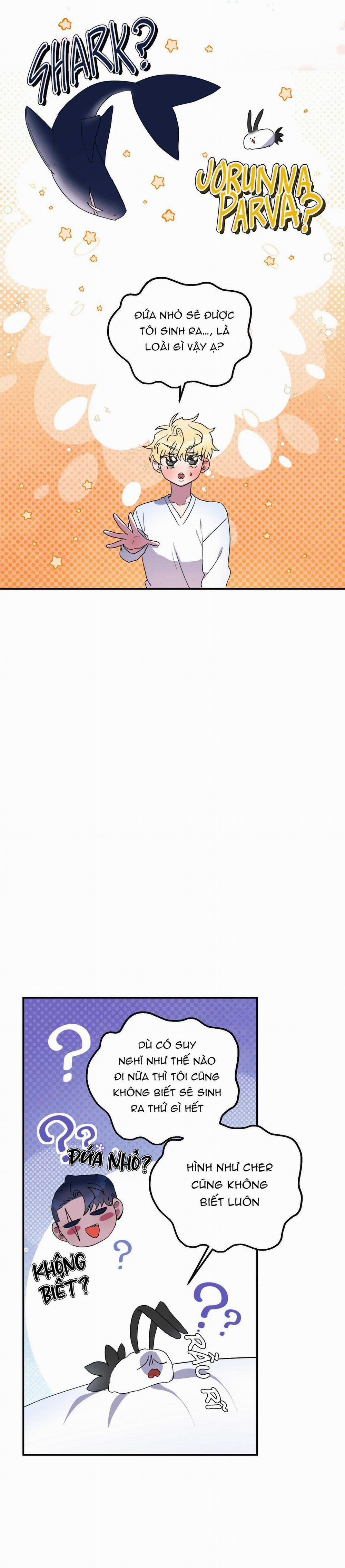 CÁ MẬP VÀ CÔ DÂU THỎ 28 trang 9