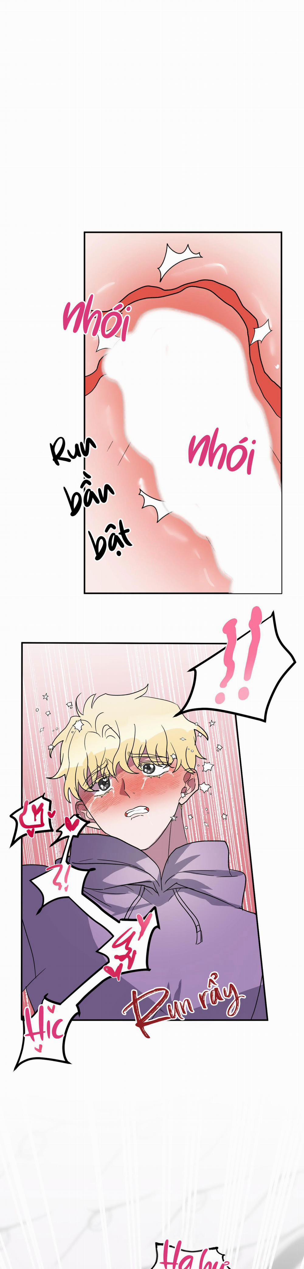 CÁ MẬP VÀ CÔ DÂU THỎ 3 trang 16