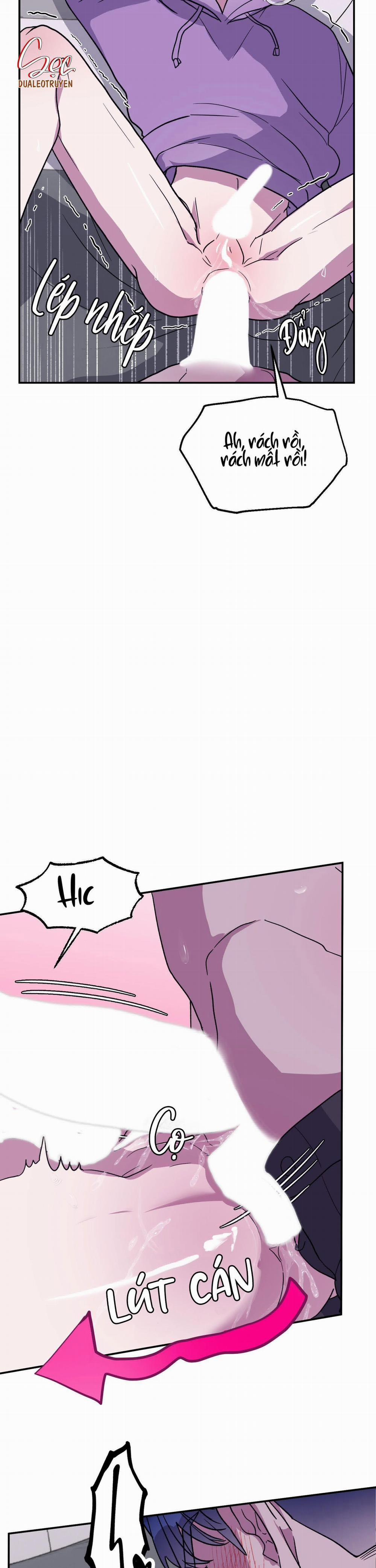 CÁ MẬP VÀ CÔ DÂU THỎ 3 trang 1