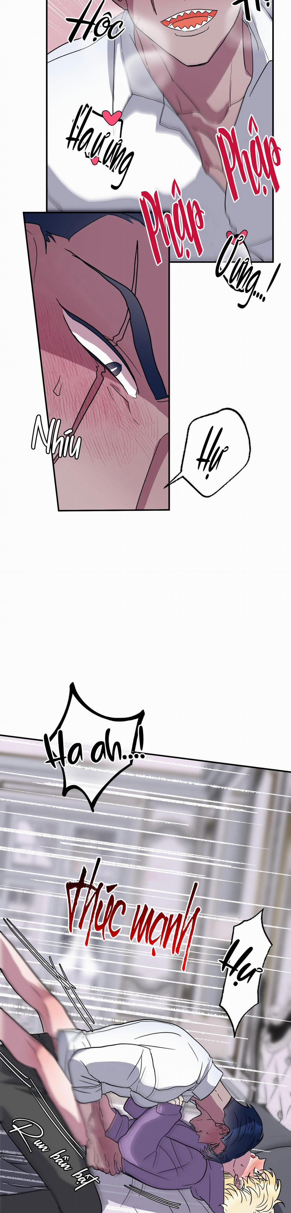 CÁ MẬP VÀ CÔ DÂU THỎ 3 trang 23