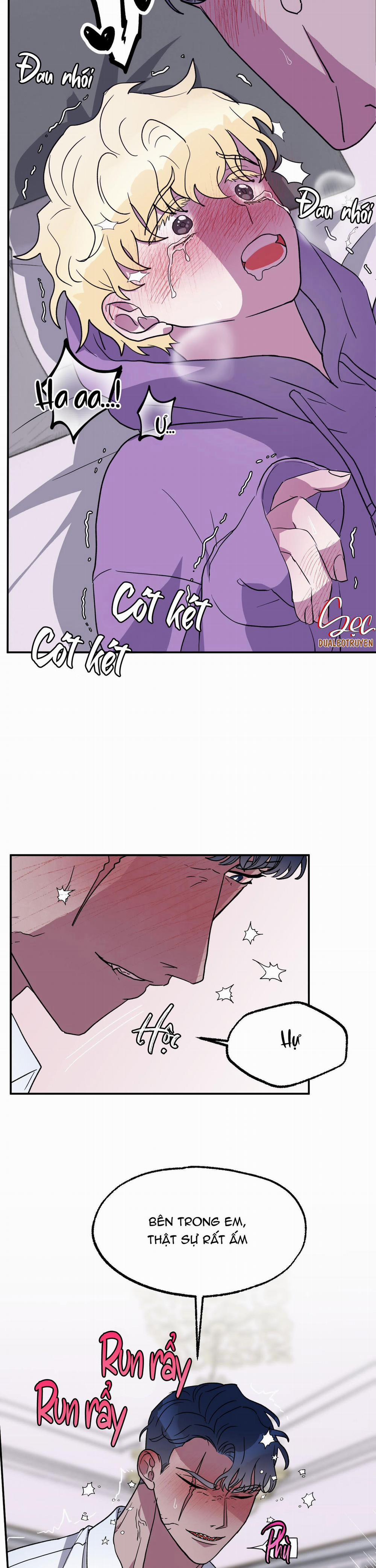 CÁ MẬP VÀ CÔ DÂU THỎ 3 trang 2