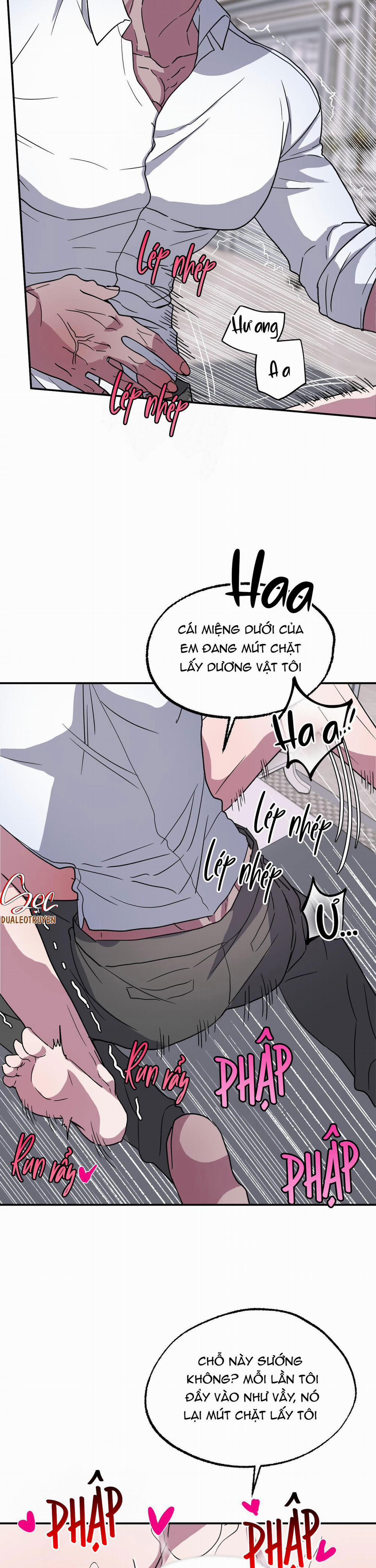 CÁ MẬP VÀ CÔ DÂU THỎ 3 trang 3