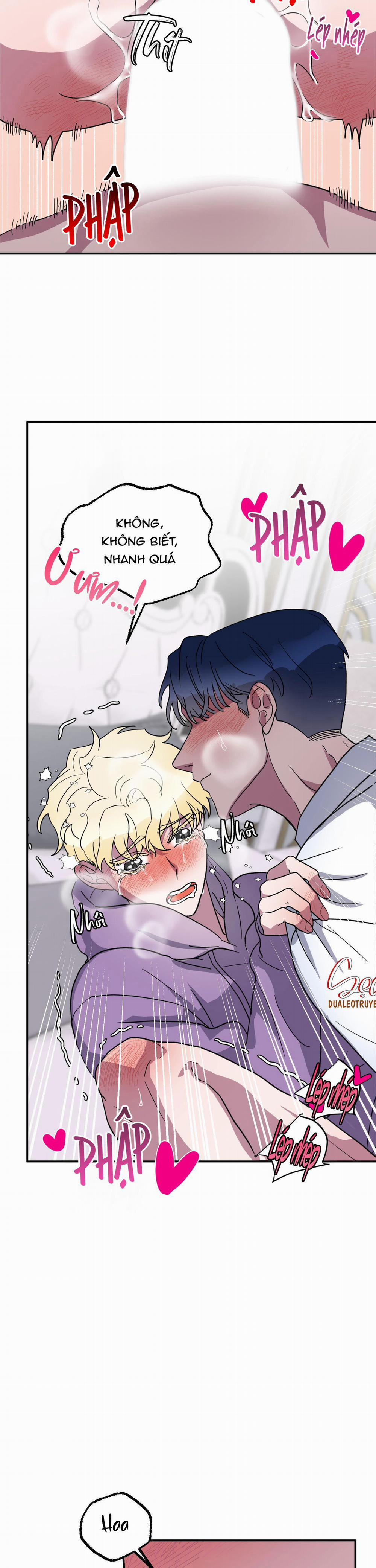 CÁ MẬP VÀ CÔ DÂU THỎ 3 trang 4