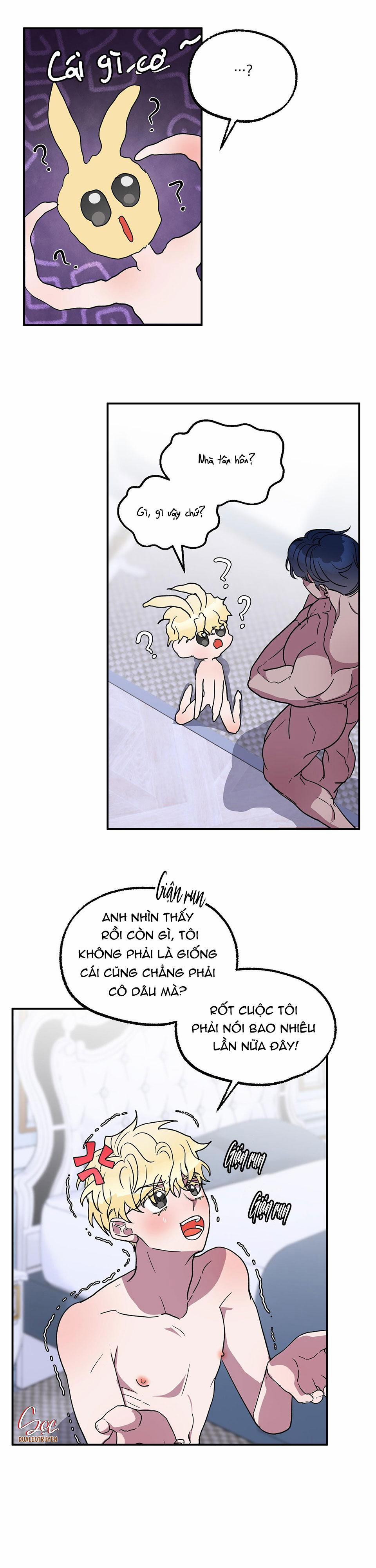 CÁ MẬP VÀ CÔ DÂU THỎ 4 trang 11