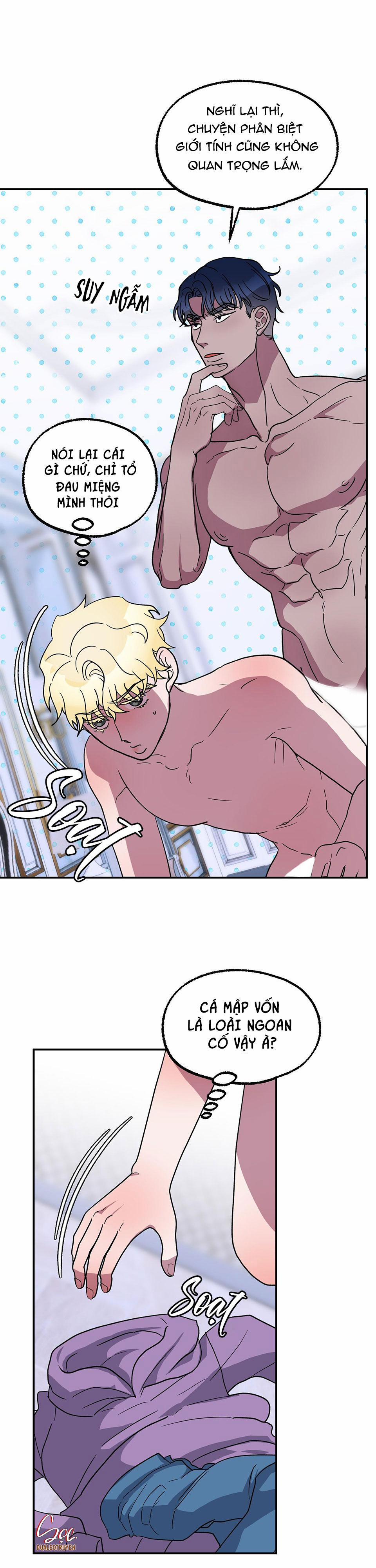 CÁ MẬP VÀ CÔ DÂU THỎ 4 trang 12