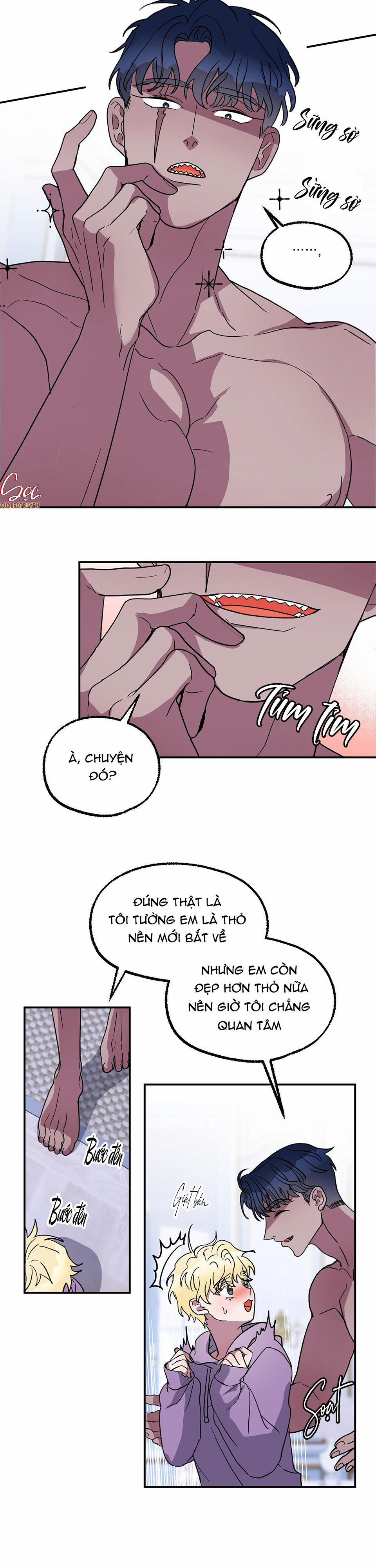 CÁ MẬP VÀ CÔ DÂU THỎ 4 trang 14