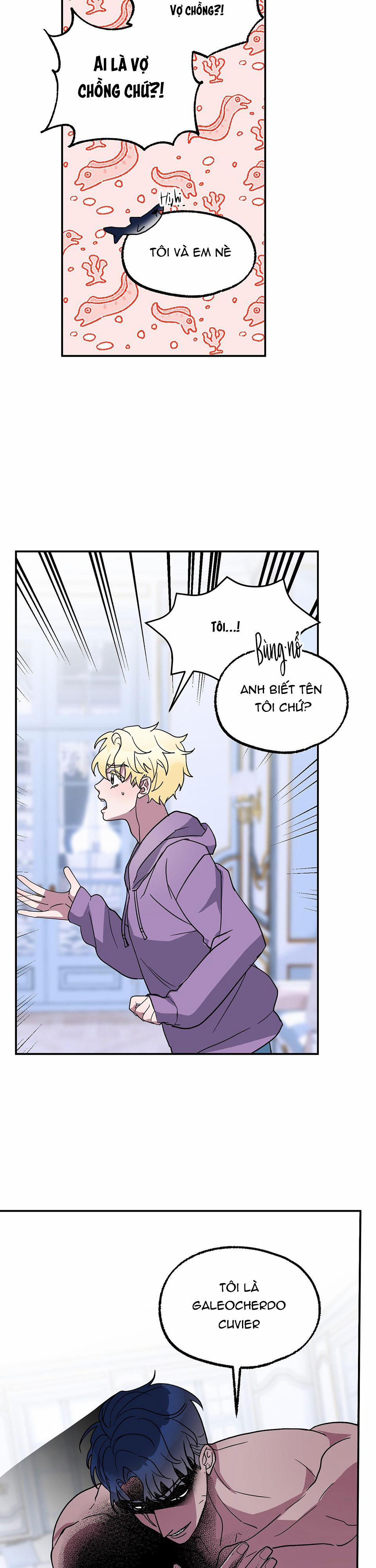 CÁ MẬP VÀ CÔ DÂU THỎ 4 trang 18