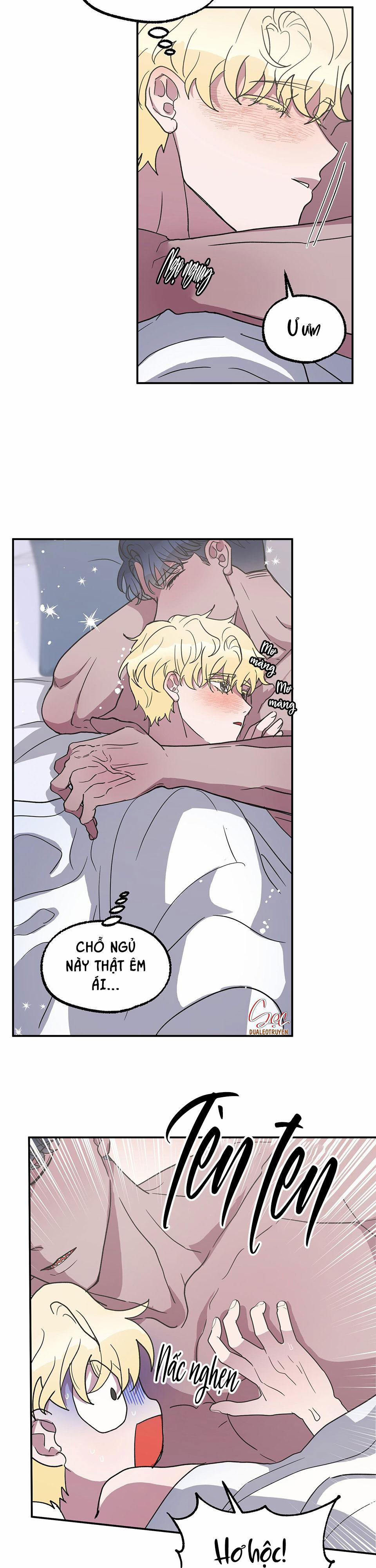 CÁ MẬP VÀ CÔ DÂU THỎ 4 trang 1