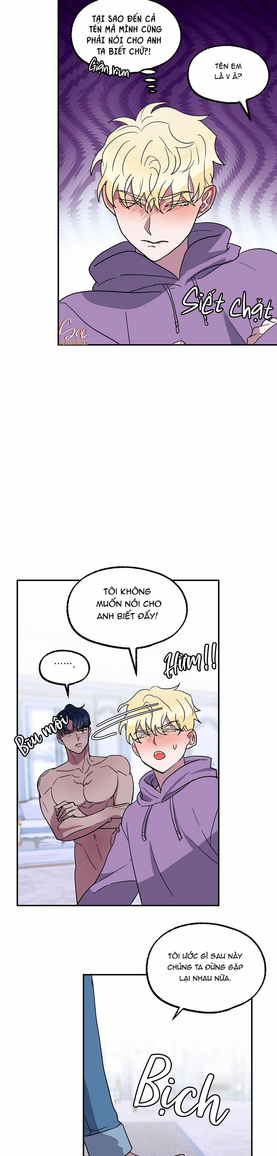 CÁ MẬP VÀ CÔ DÂU THỎ 4 trang 20