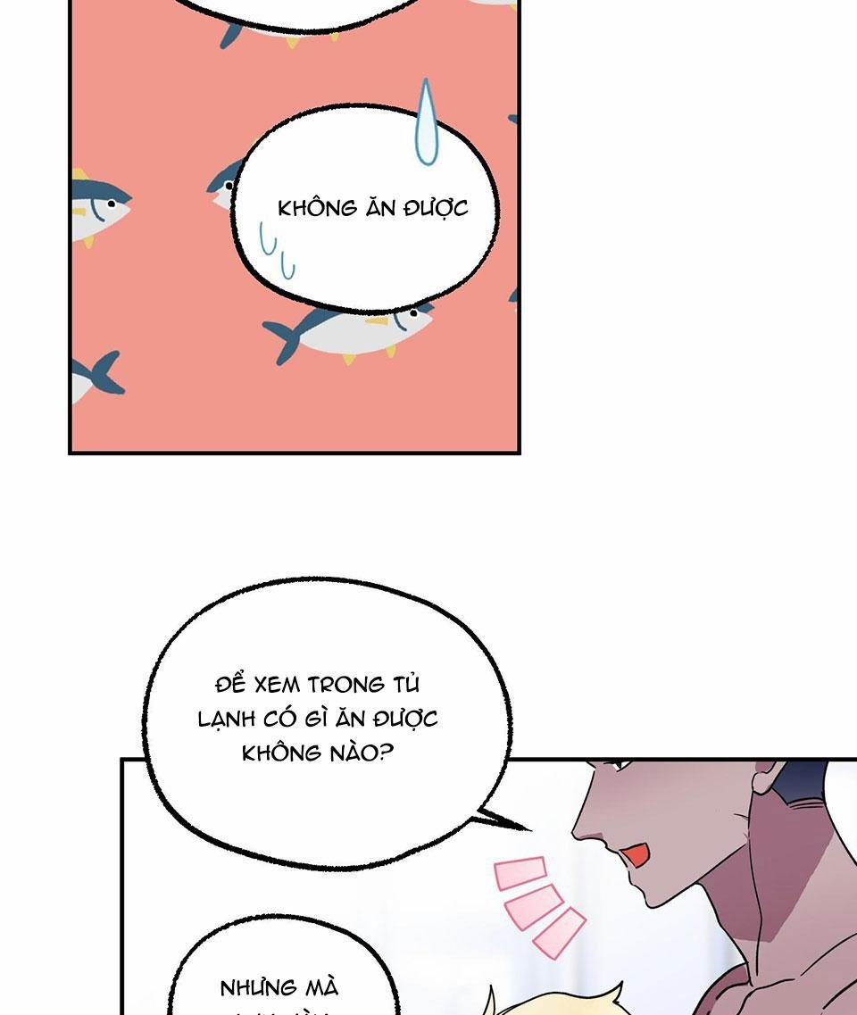 CÁ MẬP VÀ CÔ DÂU THỎ 4 trang 25