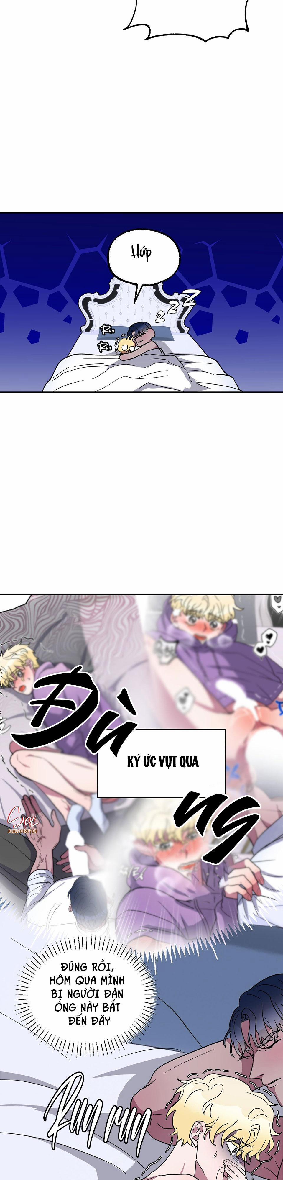 CÁ MẬP VÀ CÔ DÂU THỎ 4 trang 2