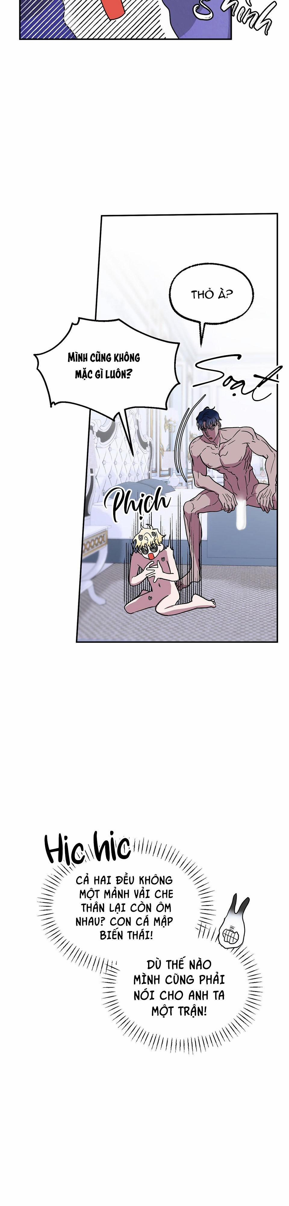 CÁ MẬP VÀ CÔ DÂU THỎ 4 trang 7
