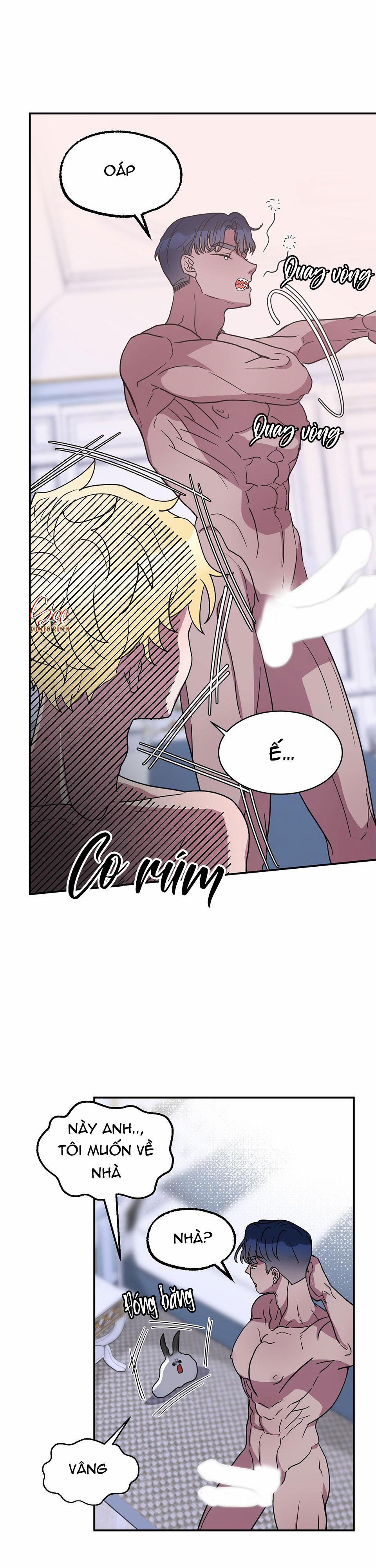 CÁ MẬP VÀ CÔ DÂU THỎ 4 trang 8