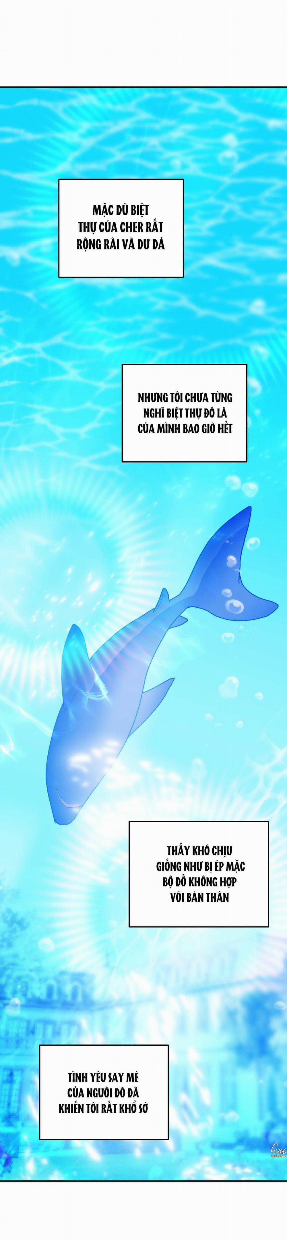 CÁ MẬP VÀ CÔ DÂU THỎ 47 trang 50