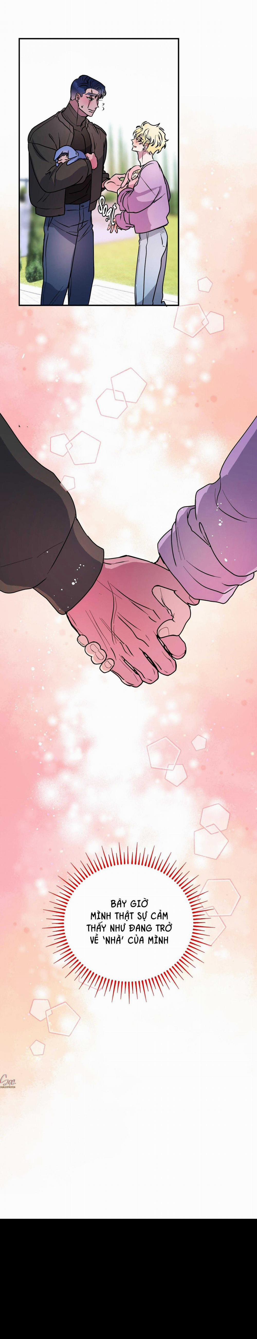 CÁ MẬP VÀ CÔ DÂU THỎ 47 trang 53