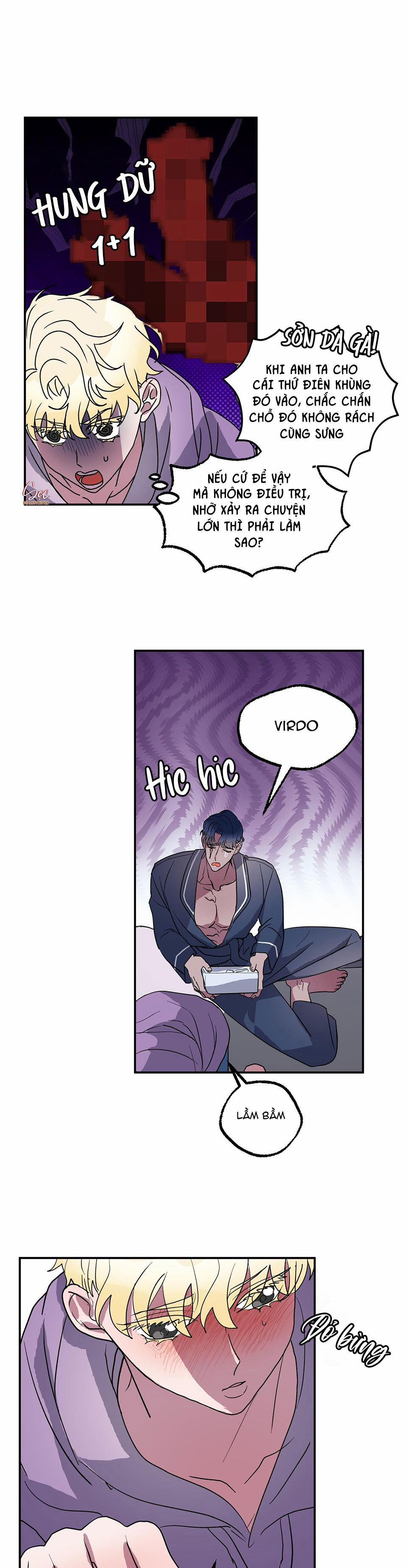 CÁ MẬP VÀ CÔ DÂU THỎ 5 trang 10