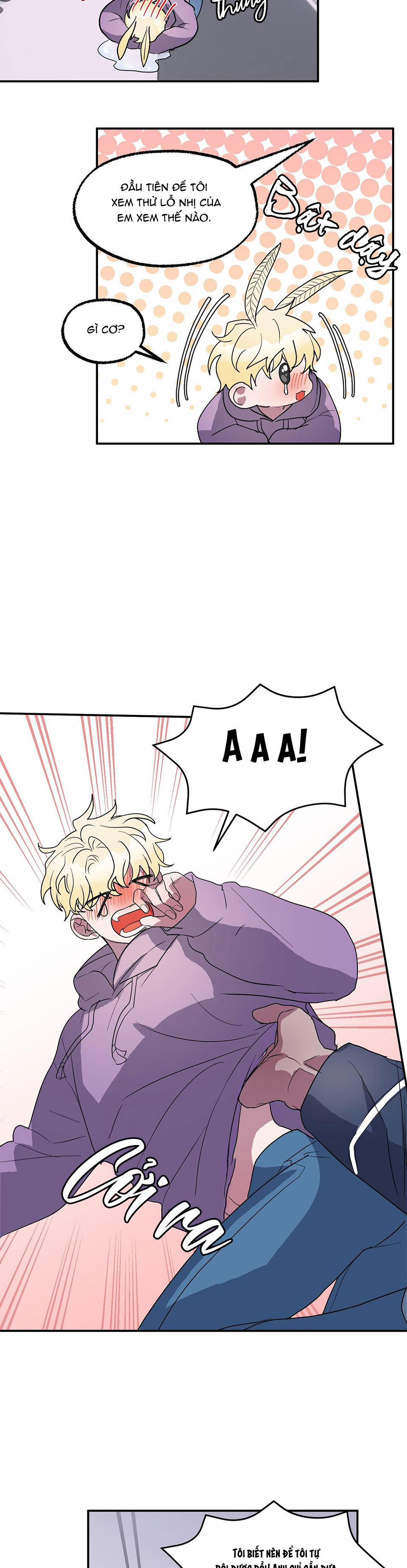 CÁ MẬP VÀ CÔ DÂU THỎ 5 trang 12