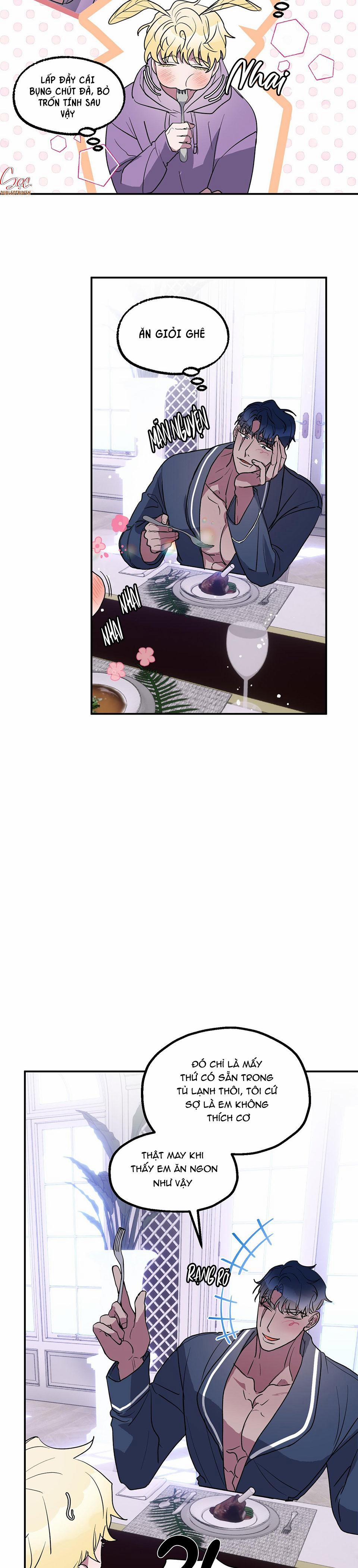 CÁ MẬP VÀ CÔ DÂU THỎ 5 trang 1