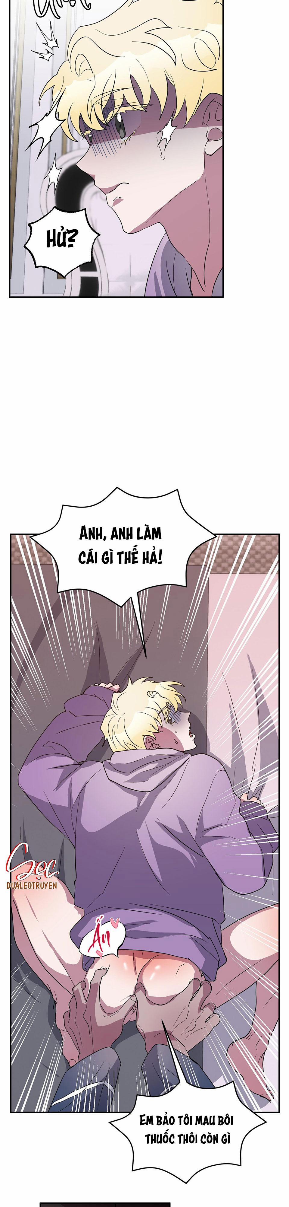 CÁ MẬP VÀ CÔ DÂU THỎ 5 trang 24