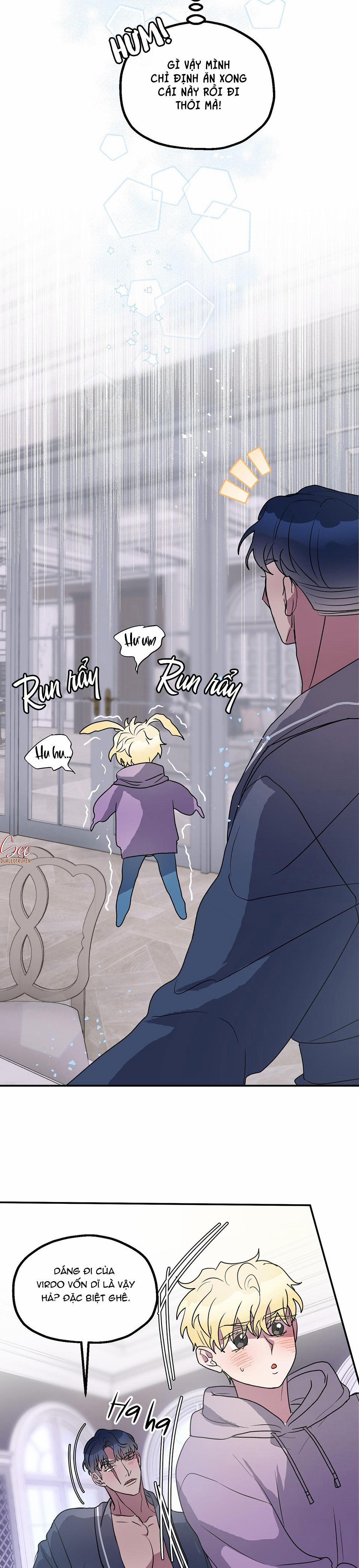 CÁ MẬP VÀ CÔ DÂU THỎ 5 trang 3